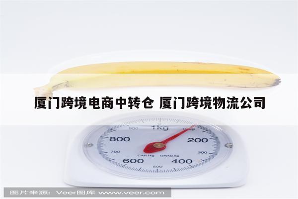 厦门跨境电商中转仓 厦门跨境物流公司