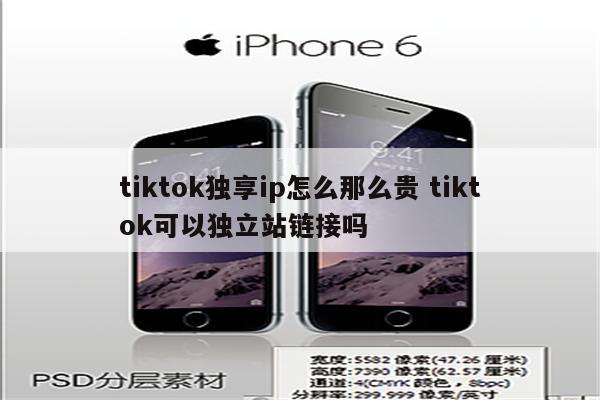tiktok独享ip怎么那么贵 tiktok可以独立站链接吗