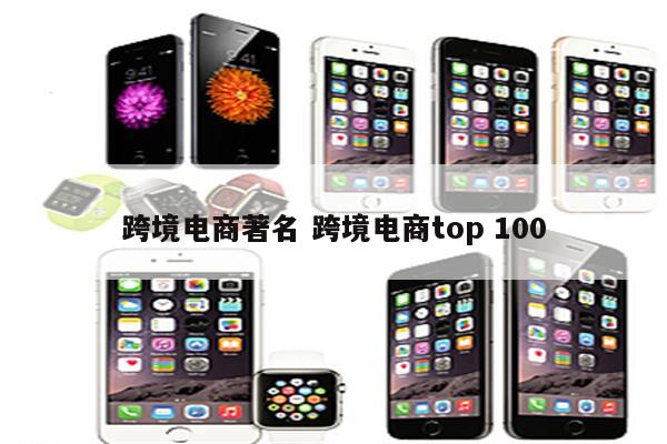 跨境电商著名 跨境电商top 100