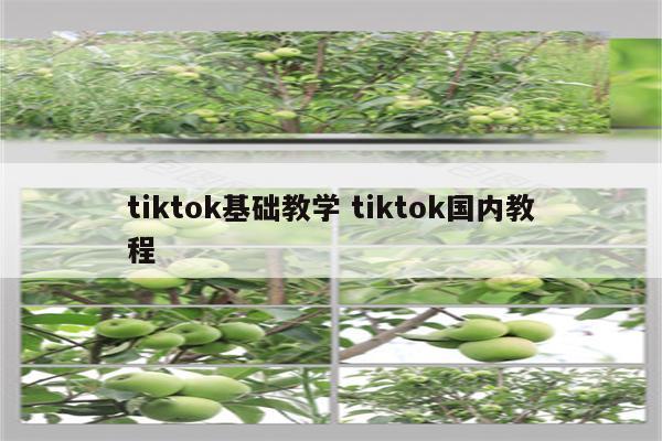 tiktok基础教学 tiktok国内教程