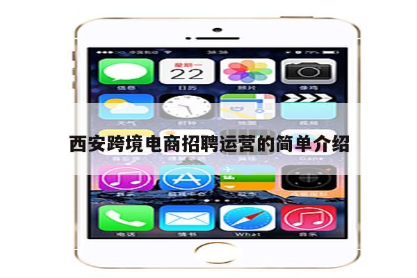 西安跨境电商招聘运营的简单介绍