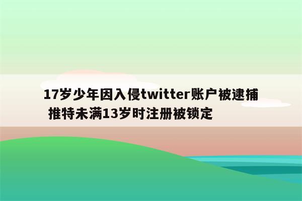 17岁少年因入侵twitter账户被逮捕 推特未满13岁时注册被锁定