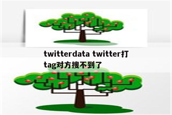 twitterdata twitter打tag对方搜不到了