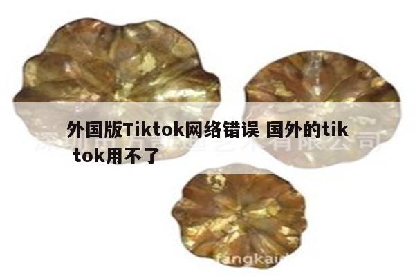 外国版Tiktok网络错误 国外的tik tok用不了