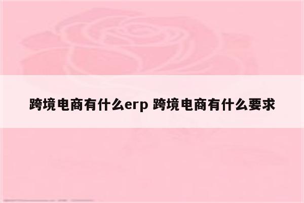 跨境电商有什么erp 跨境电商有什么要求