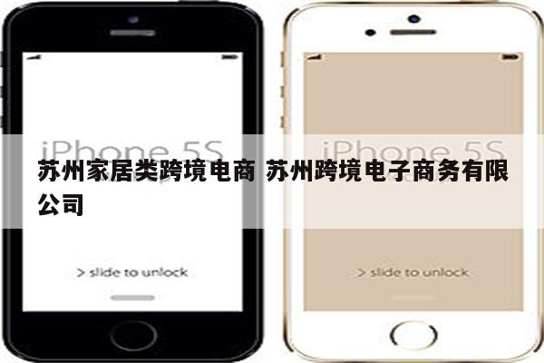 苏州家居类跨境电商 苏州跨境电子商务有限公司
