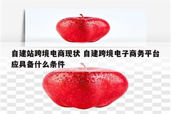 自建站跨境电商现状 自建跨境电子商务平台应具备什么条件