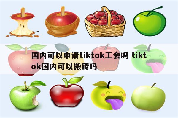 国内可以申请tiktok工会吗 tiktok国内可以搬砖吗