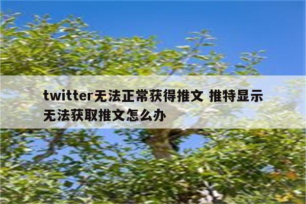 twitter无法正常获得推文 推特显示无法获取推文怎么办