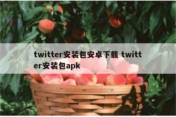 twitter安装包安卓下载 twitter安装包apk