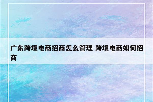 广东跨境电商招商怎么管理 跨境电商如何招商
