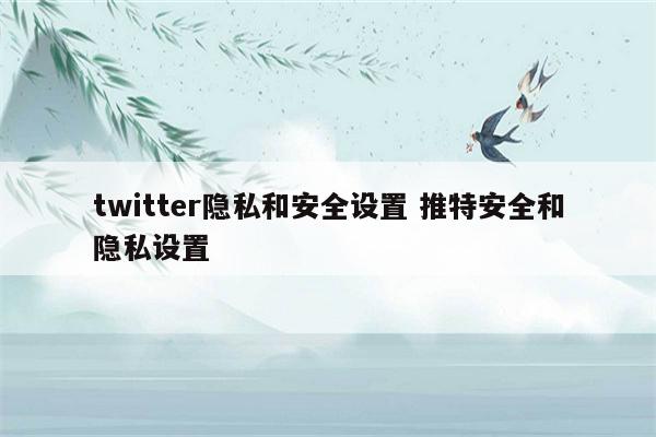 twitter隐私和安全设置 推特安全和隐私设置