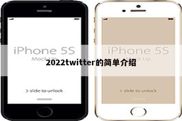 2022twitter的简单介绍