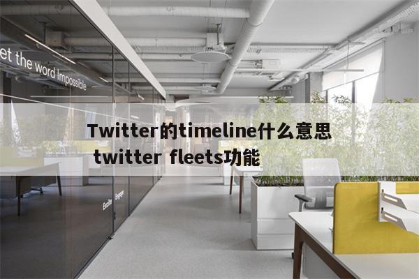 Twitter的timeline什么意思 twitter fleets功能