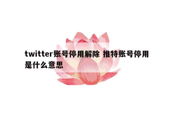 twitter账号停用解除 推特账号停用是什么意思