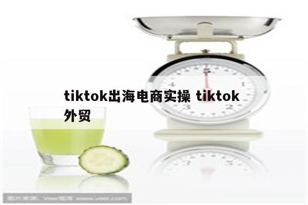 tiktok出海电商实操 tiktok 外贸