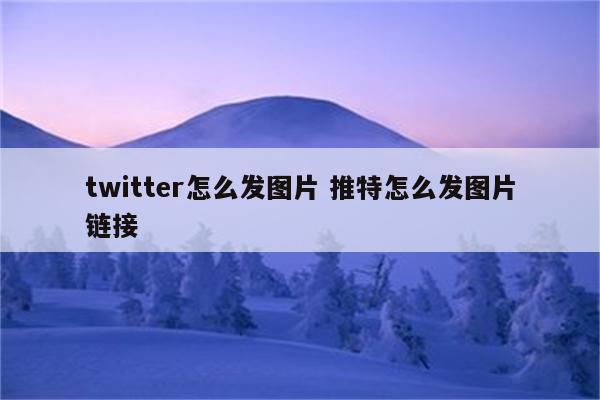 twitter怎么发图片 推特怎么发图片链接