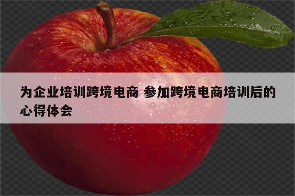 为企业培训跨境电商 参加跨境电商培训后的心得体会