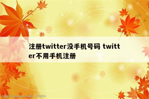 注册twitter没手机号码 twitter不用手机注册