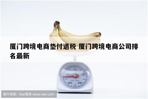 厦门跨境电商垫付退税 厦门跨境电商公司排名最新