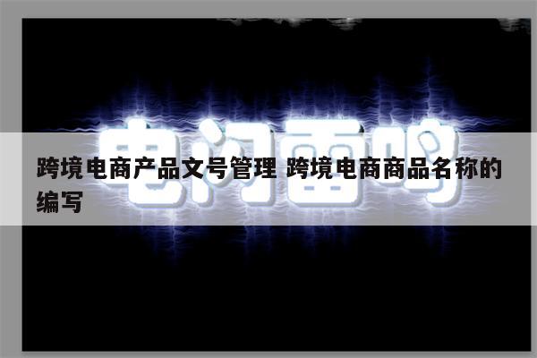 跨境电商产品文号管理 跨境电商商品名称的编写