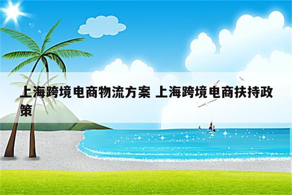 上海跨境电商物流方案 上海跨境电商扶持政策