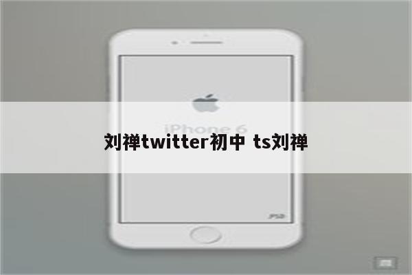 刘禅twitter初中 ts刘禅