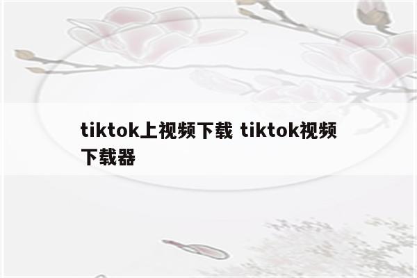 tiktok上视频下载 tiktok视频下载器