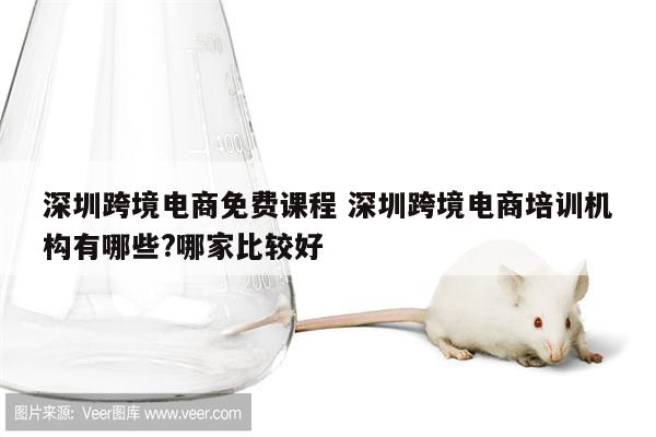 深圳跨境电商免费课程 深圳跨境电商培训机构有哪些?哪家比较好