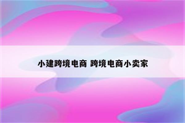 小建跨境电商 跨境电商小卖家