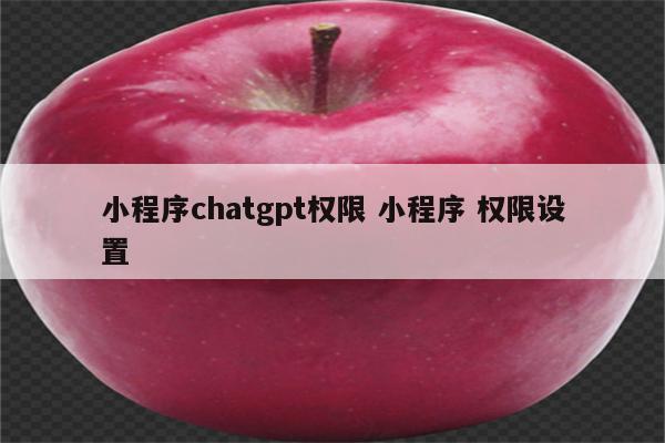 小程序chatgpt权限 小程序 权限设置