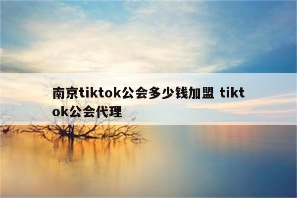 南京tiktok公会多少钱加盟 tiktok公会代理