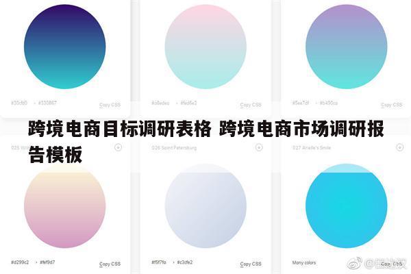 跨境电商目标调研表格 跨境电商市场调研报告模板