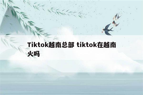 Tiktok越南总部 tiktok在越南火吗