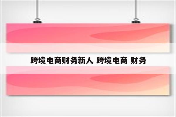 跨境电商财务新人 跨境电商 财务
