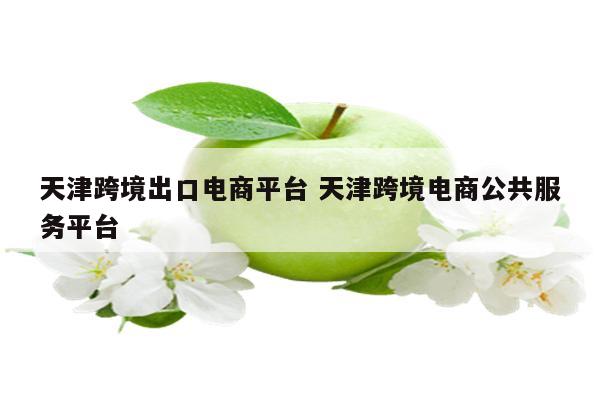 天津跨境出口电商平台 天津跨境电商公共服务平台