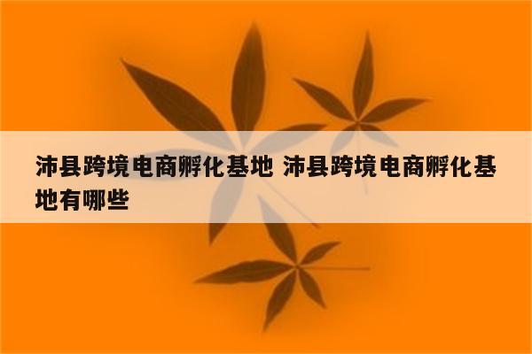 沛县跨境电商孵化基地 沛县跨境电商孵化基地有哪些