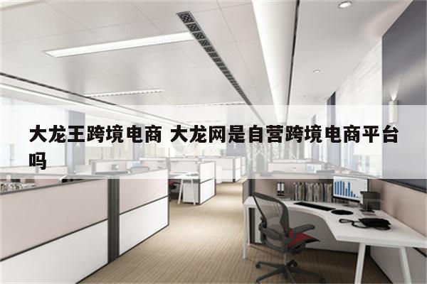大龙王跨境电商 大龙网是自营跨境电商平台吗