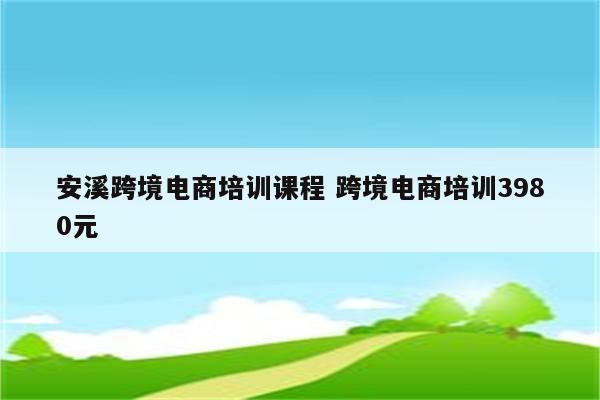 安溪跨境电商培训课程 跨境电商培训3980元