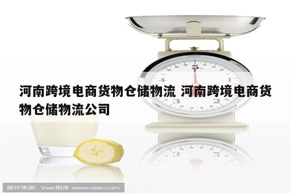 河南跨境电商货物仓储物流 河南跨境电商货物仓储物流公司