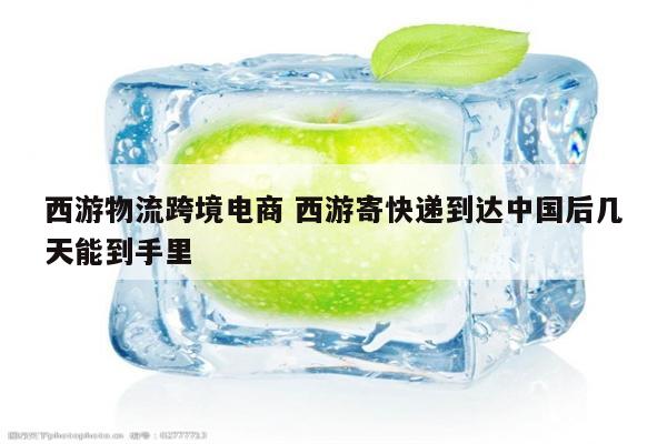 西游物流跨境电商 西游寄快递到达中国后几天能到手里