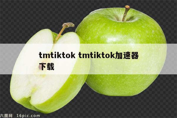 tmtiktok tmtiktok加速器下载