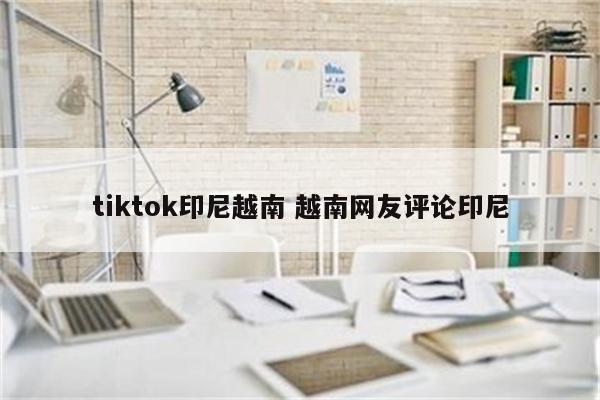 tiktok印尼越南 越南网友评论印尼