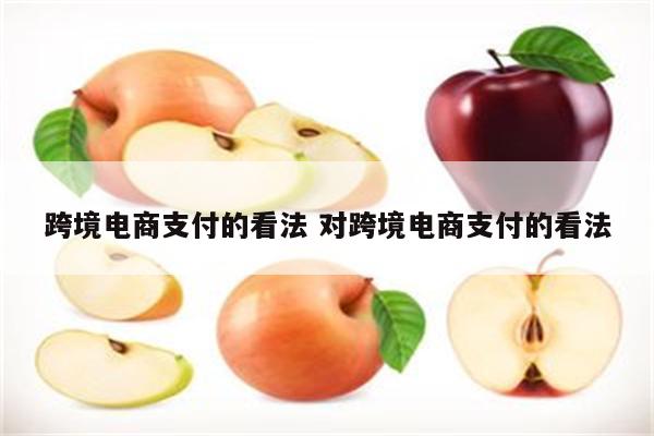 跨境电商支付的看法 对跨境电商支付的看法