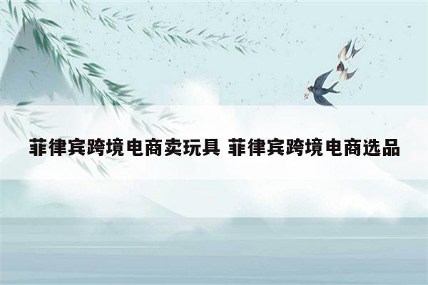 菲律宾跨境电商卖玩具 菲律宾跨境电商选品