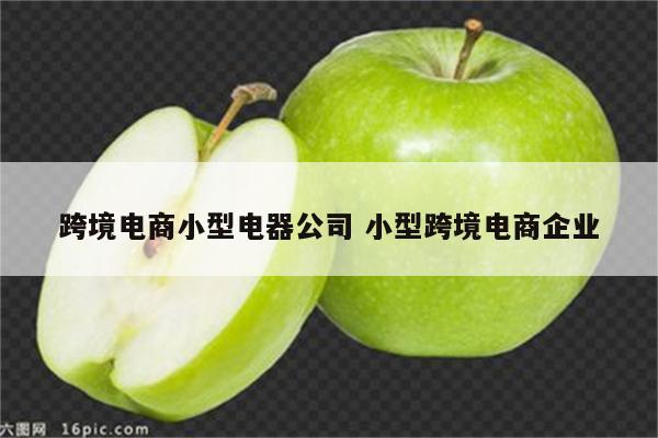 跨境电商小型电器公司 小型跨境电商企业