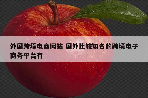 外国跨境电商网站 国外比较知名的跨境电子商务平台有