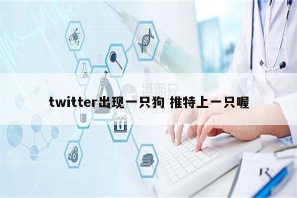 twitter出现一只狗 推特上一只喔