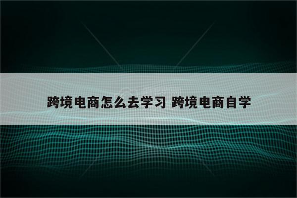 跨境电商怎么去学习 跨境电商自学