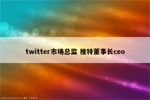 twitter市场总监 推特董事长ceo